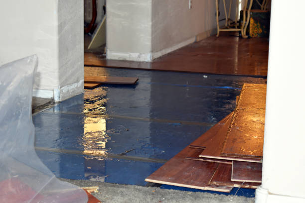 Professional Burst Pipe Cleanup technician working in Winnetka, IL